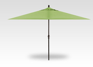 11′ x 8′ ginkgo no-tilt umbrella – black frame