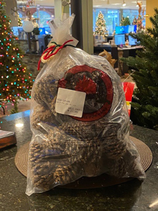 bag of pine cone..pb-1 ploy bag