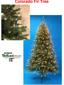 6.5 colorado fir tree – clear lights