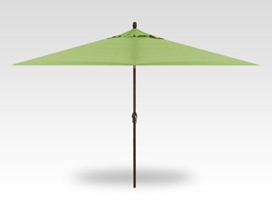 11′ x 8′ ginkgo no-tilt umbrella – bronze frame