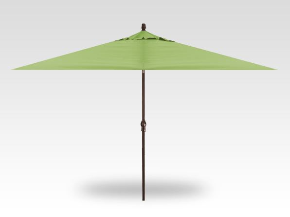 11′ x 8′ ginkgo no-tilt umbrella – bronze frame product image