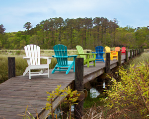 palm coast adirondack in lime thumbnail