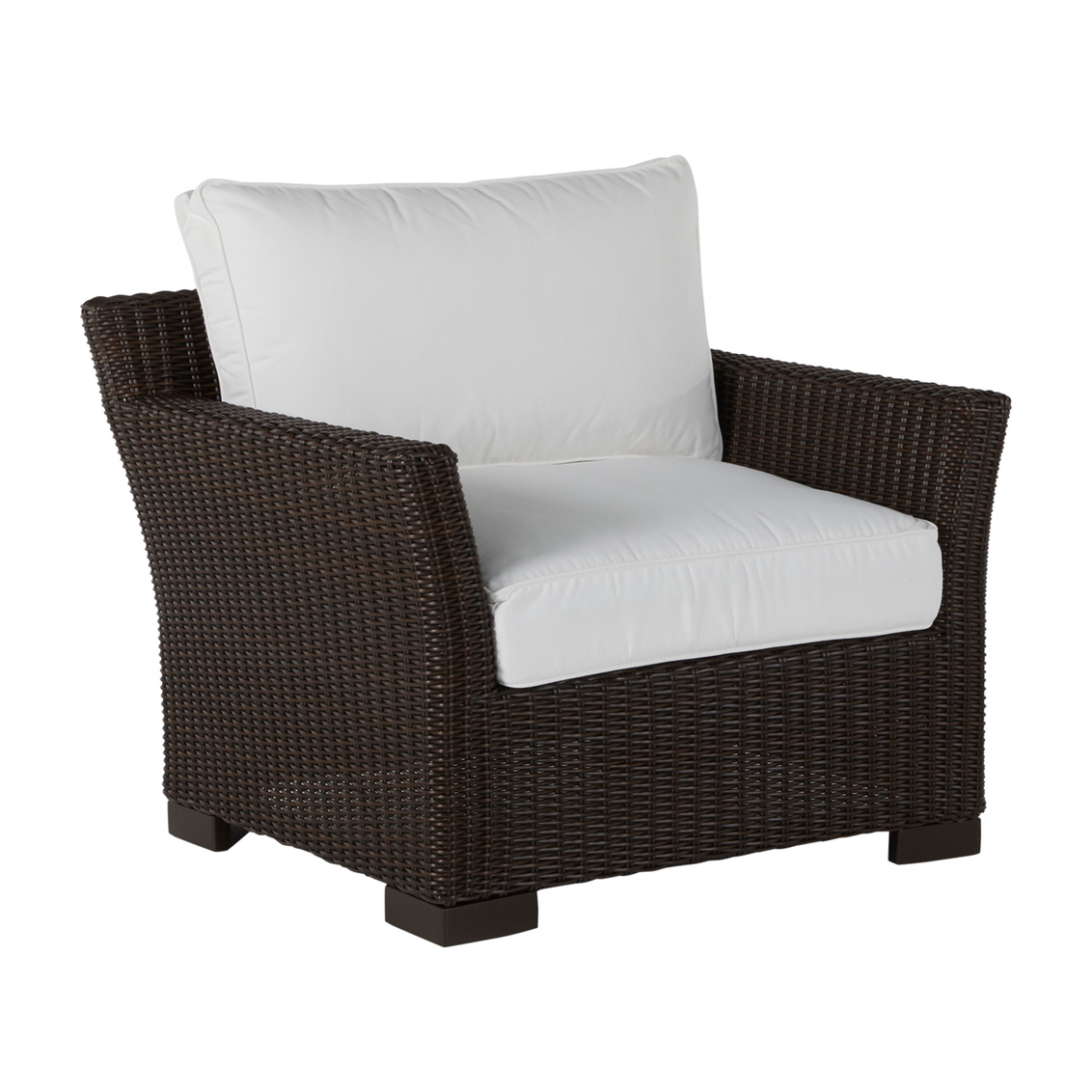 club woven lounge chair in black walnut – frame only product image