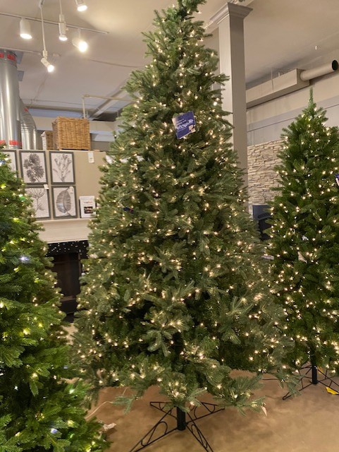 10′ fraser fir tree – clear lights product image