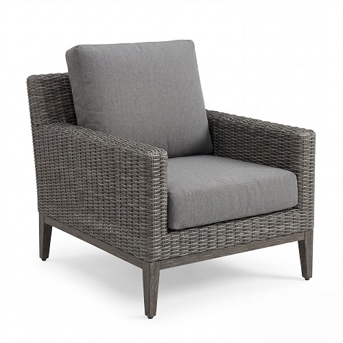 remy chair/cushion