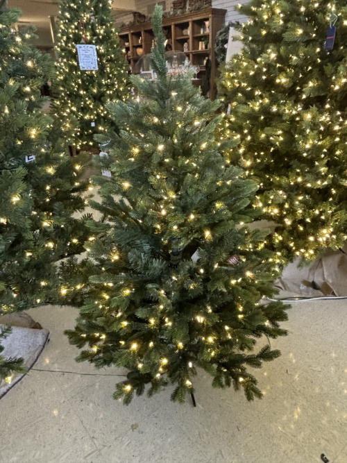5′ augusta spruce – clear/multi led lights