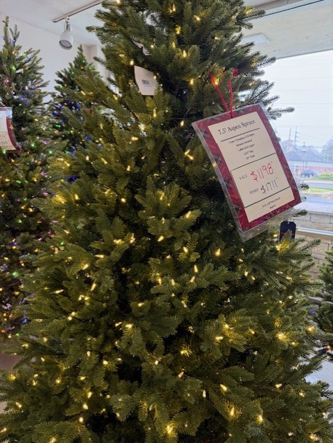 7.5′ aspen spruce – color changing clear/multi led lights thumbnail image