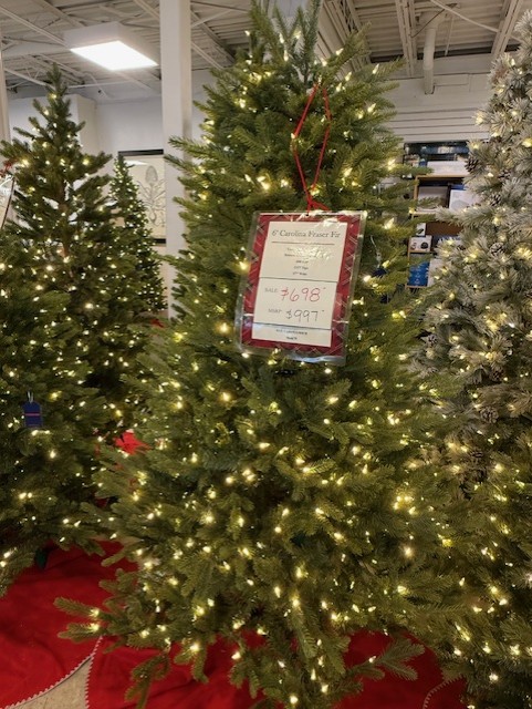 6.5′ carolina fraser fir – color changing clear/multi led lights