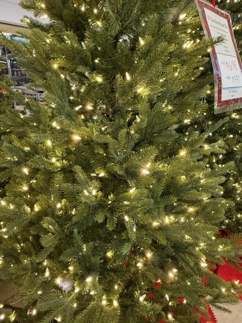 6.5′ carolina fraser fir – color changing clear/multi led lights thumbnail image