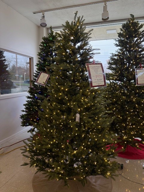 7.5′ carolina fraser fir- color changing clear/multi led lights