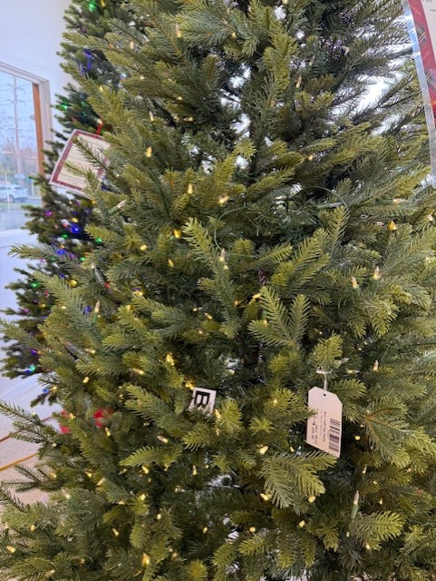 7.5′ carolina fraser fir- color changing clear/multi led lights thumbnail image