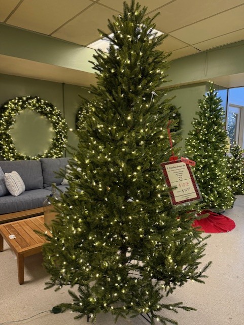 8′ carolina fraser fir – color changing clear/multi led lights