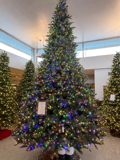 15′ logan spruce tree – color changing clear/multi led lights product image