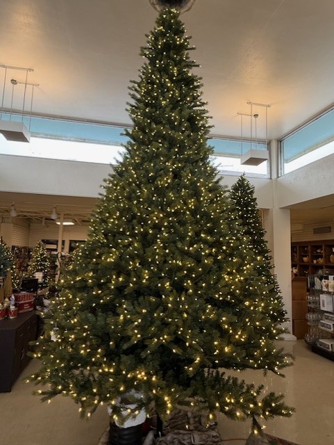 15′ logan spruce tree – color changing clear/multi led lights thumbnail image