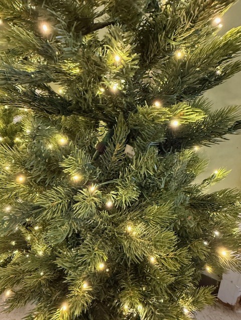 4′ logan potted spruce tree – color changing clear/multi led lights thumbnail image