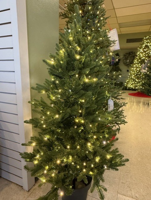 4′ aspen potted spruce – clear/multi lights thumbnail image