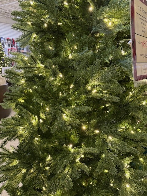 7.5′ frasier fir tree – clear/multi led lights thumbnail image